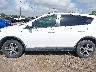 JTMWFREV5JJ****** Salvage 2018 Toyota RAV4