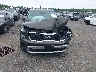 5XYP3DGC9PG****** Salvage and Repairable 2023 Kia Telluride in Maryland State