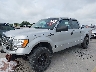 1FTRW12859F****** Salvamento y Destrozados 2009 Ford F-150 en Austin North