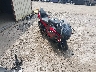 ML5EXGG18SD****** Salvage and Wrecked 2025 Kawasaki Ninja 500 in Rec Rides Online Exclusive