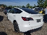5YJYGDEE3MF****** Salvamento y Reparables 2021 Tesla Model Y en Terminal Drive
