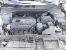 5XYPG4A30GG****** Repairable 2016 Kia Sorento in Wilmington