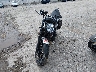 SMTD54HF1KT****** Used and Repairable 2019 Triumph Speed Twin in Kansas State