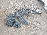 5N1AZ2CS9LN****** Wrecked 2020 Nissan Murano in Montana State