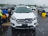 1FMCU0GDXHU****** Destrozados 2017 Ford Escape en Estado de Illinois