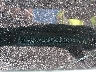 KMHCT4AE5HU****** Used 2017 Hyundai Accent in Chicago South