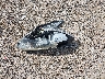 KNDPM3AC9K7****** Destrozados 2019 Kia Sportage en Estado de Texas