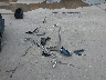 4T1DAACK8SU****** Destrozados 2025 Toyota Camry en Estado de Texas
