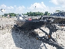 RGR9385***** Salvage and Wrecked 2018 Ranger Rt Tourament in Rec Rides Online Exclusive