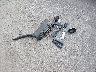 5XYPG4A33GG****** Destrozados 2016 Kia Sorento en Estado de Kansas