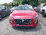 KMHH35LE2JU****** Destrozados 2018 Hyundai Elantra en Estado de Carolina del Norte