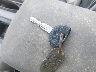 1C3XJ4535MG****** Salvage 1991 Chrysler LeBaron in Texas State