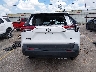 2T3H1RFV6NW****** Used 2022 Toyota RAV4