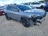 1C4PJLLB5LD****** Salvamento y Destrozados 2020 Jeep Cherokee en San Antonio South