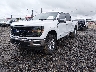 1FTFW3LD0RF****** Used and Repairable 2024 Ford F-150 in Lafayette