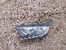 5J6RW2H8XML****** Wrecked 2021 Honda CR-V in Wisconsin State