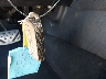 JA4ATWAAXRZ****** Salvage 2024 Mitsubishi Eclipse in Louisiana State