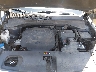 5XYPH4A52LG****** Reparables 2020 Kia Sorento en San Diego
