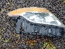 1FMHK7D88BG****** Destrozados 2011 Ford Explorer en Estado de Hawaii