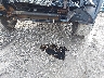 1GC2KXCGXDZ****** Salvage and Repairable 2013 Chevrolet Silverado 2500 in Iowa State