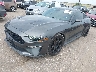 1FA6P8CF6K5****** Used and Repairable 2019 Ford Mustang in Houston