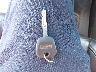 1GKS1AKC2FR****** Salvamento 2015 GMC Yukon en Estado de Georgia