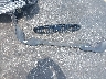 3MW5R1J00N8****** Destrozados 2022 BMW 330i en Estado de Florida