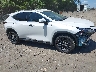2T2GGCEZXRC****** Salvamento y Destrozados 2024 Lexus NX 350 en Taunton