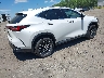 2T2GGCEZXRC****** Salvamento y Destrozados 2024 Lexus NX 350 en Estado de Massachusetts