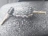 3KPF24AD9RE****** Salvage 2024 Kia Forte in Illinois State