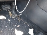 KNDPMCACXL7****** Salvage 2020 Kia Sportage in New York State