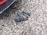 5XXG24J25MG****** Wrecked 2021 Kia K5 in Ohio State