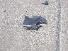 2C4RDGBG3GR****** Wrecked 2016 Dodge Grand Caravan in Indiana State