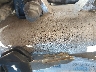 JS1GN78A6W2****** Repairable 1998 Suzuki GSX-R600 in Kansas City