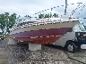00000SERM74****** Salvage and Repairable 1986 Sea Ray Other in Ohio State