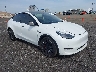 5YJYGDEF0MF****** Salvage and Wrecked 2021 Tesla Model Y in Electric Vehicle Auctions