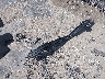 1FMUK7DH5SG****** Wrecked 2025 Ford Explorer in Texas State