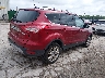 1FMCU9J91FU****** Salvamento y Destrozados 2015 Ford Escape en Estado de Illinois