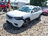 1C4PJLDB5KD****** Usados y Reparables 2019 Jeep Cherokee en Chicago South