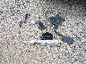 1C4PJXEG1TW****** Destrozados 2026 Jeep Wrangler en Estado de Ohio