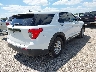 1FMSK7BH2MG****** Salvage and Wrecked 2021 Ford Explorer in Texas State