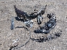 5N1AZ2MJ7KN****** Wrecked 2019 Nissan Murano in Mississippi State