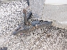 5RTBE122XLD****** Salvamento 2020 Lark Trailer en Knoxville