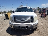 1FTFW1EV6AK****** Salvage 2010 Ford F-150 in New Mexico State