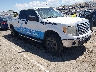 1FTFW1EV6AK****** Salvage and Wrecked 2010 Ford F-150 in Albuquerque