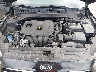 3KPF34AD8KE****** Repairable 2019 Kia Forte in Philadelphia