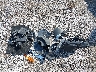 KNADM4A3XH6****** Wrecked 2017 Kia Rio in Kentucky State