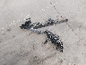 WDCGG8JB1FG****** Wrecked 2015 Mercedes-Benz Glk 350 in Missouri State
