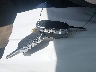 3KPF24AD7RE****** Salvage 2024 Kia Forte in Arkansas State