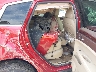 3GYFNDEY9AS****** Destrozados 2010 Cadillac SRX en Baltimore